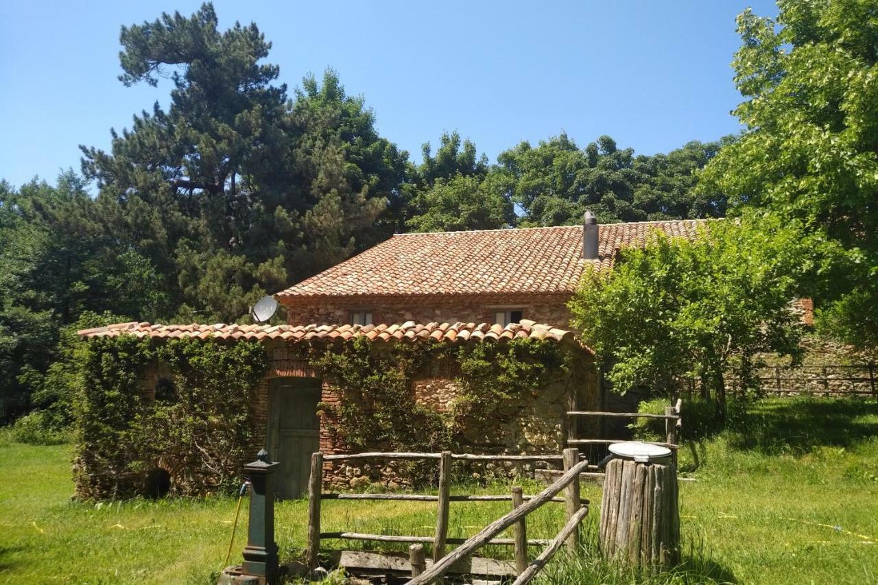 Torre Camigliati Dimora Storica Hotel Camigliatello Silano Eksteriør billede