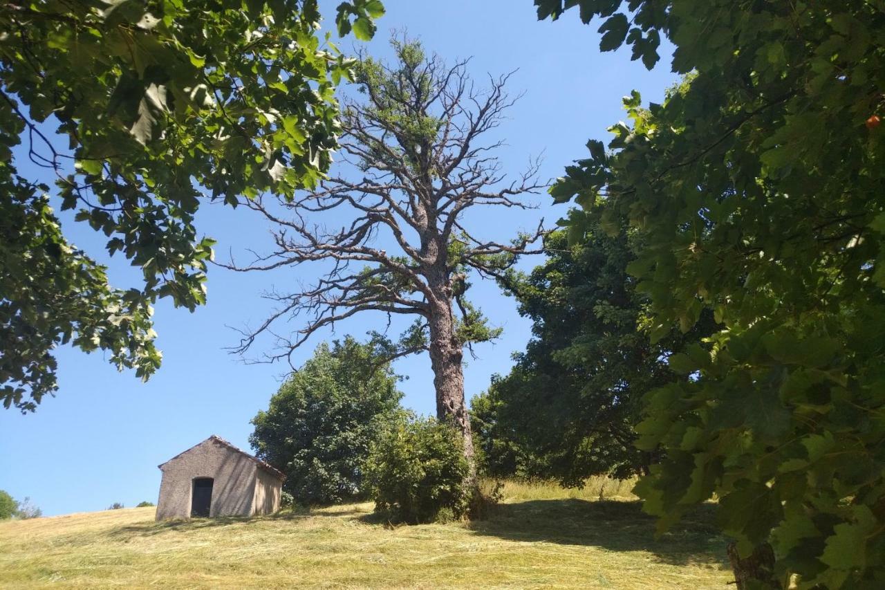 Torre Camigliati Dimora Storica Hotel Camigliatello Silano Eksteriør billede